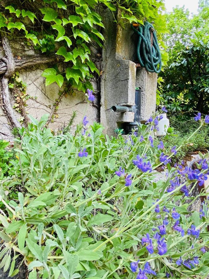 Les Chambres D'Hotes Du Bois Joli Semur-en-Auxois Eksteriør bilde